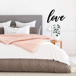 plv1030 1