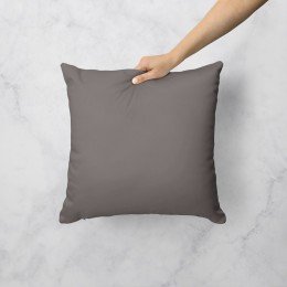 pas1048 2