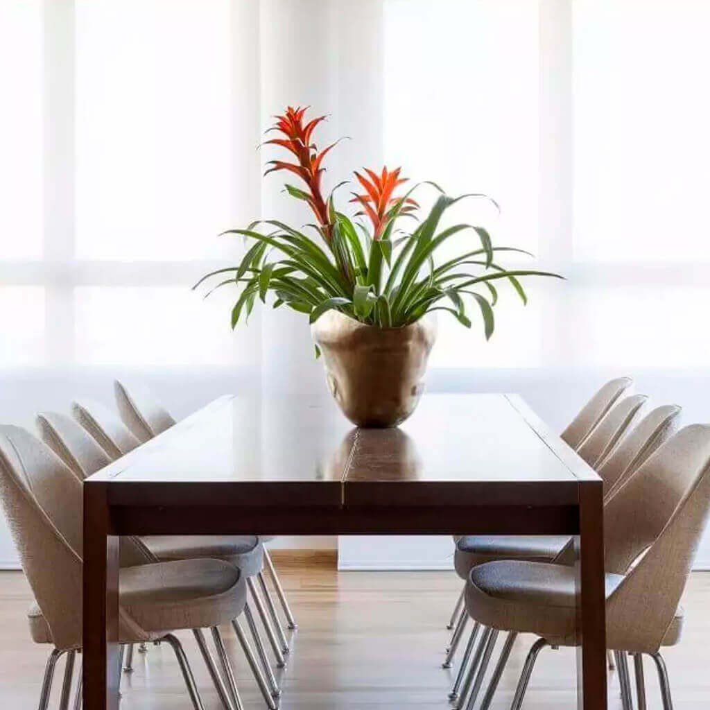 Vaso Decorativo Sala de Jantar